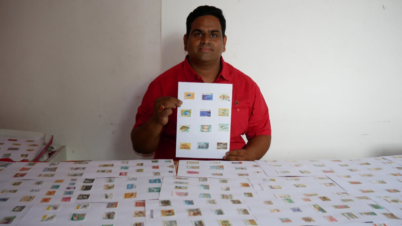 Largest Matchbox Collection World Records Community